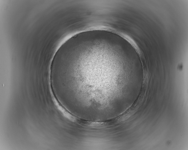 X0000091951439200709131154