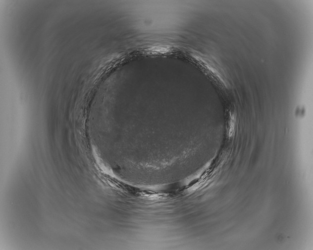 X0000091951441200709131154