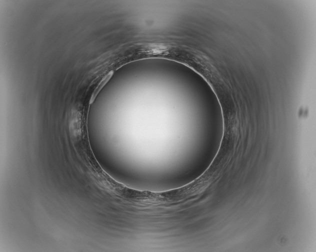 X0000091951442200709131154