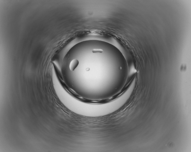 X0000091951443200709131154