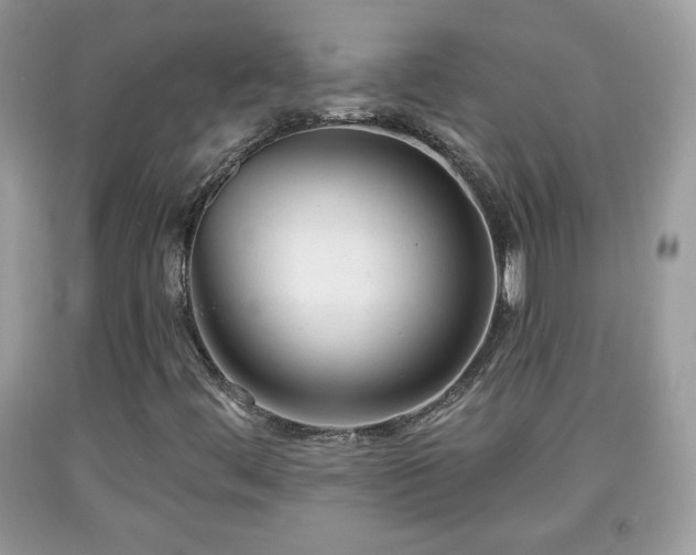 X0000091951444200709131154