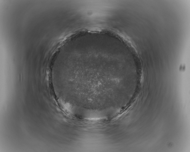 X0000091951445200709131154