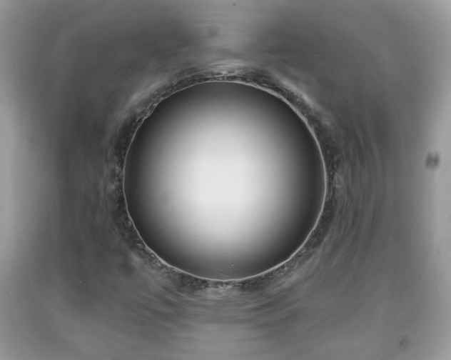 X0000091951447200709131154