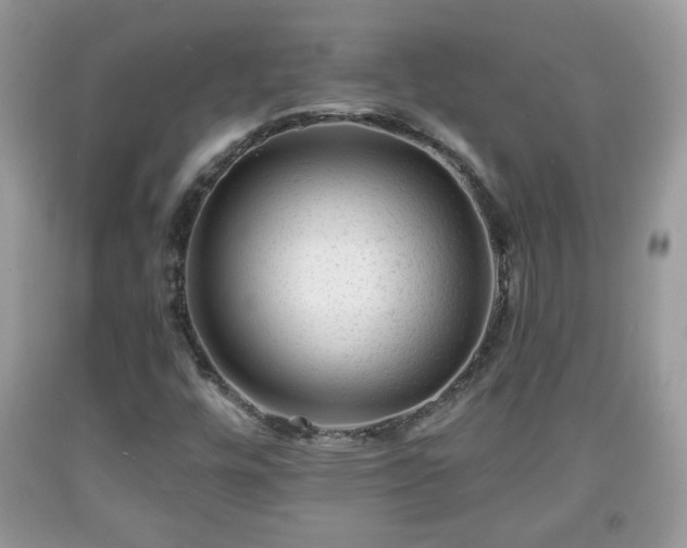 X0000091951448200709131154