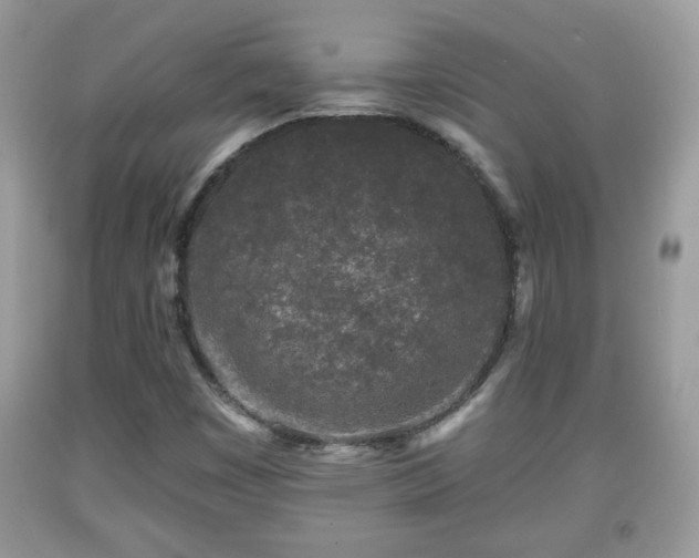 X0000091951449200709131154