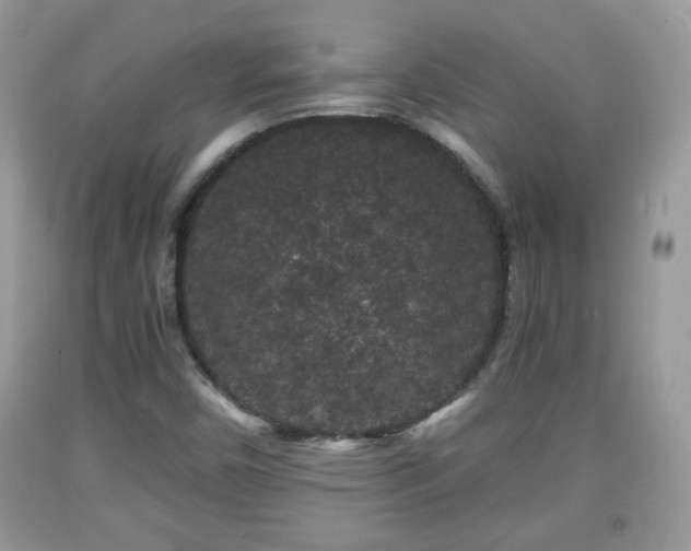 X0000091951450200709131154