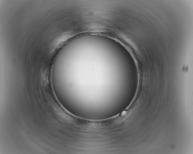 X0000091951451200709131154