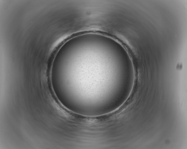X0000091951452200709131154