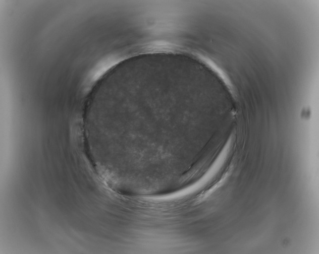 X0000091951453200709131154