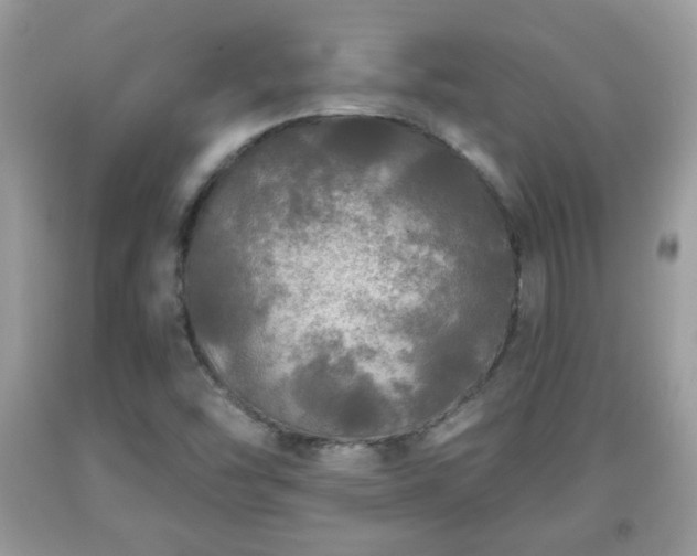 X0000091951454200709131154