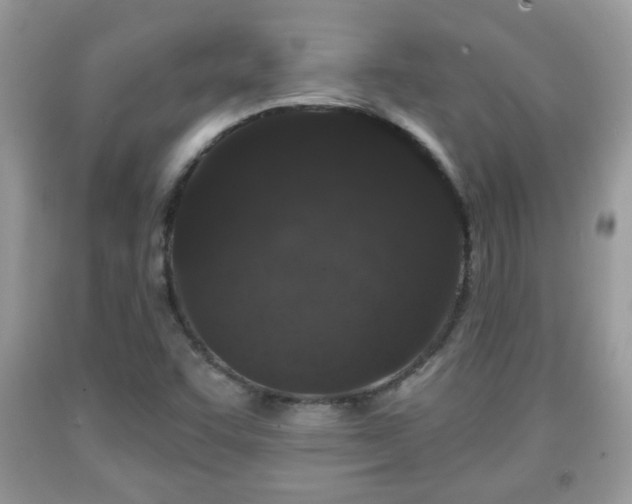 X0000091951455200709131154