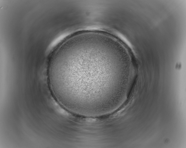 X0000091951456200709131154