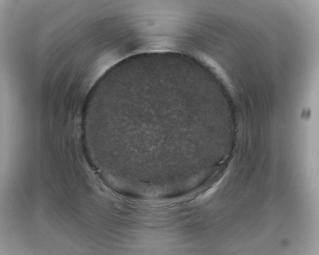 X0000091951457200709131154