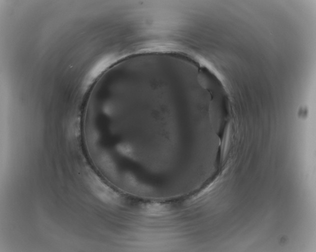 X0000091951459200709131154