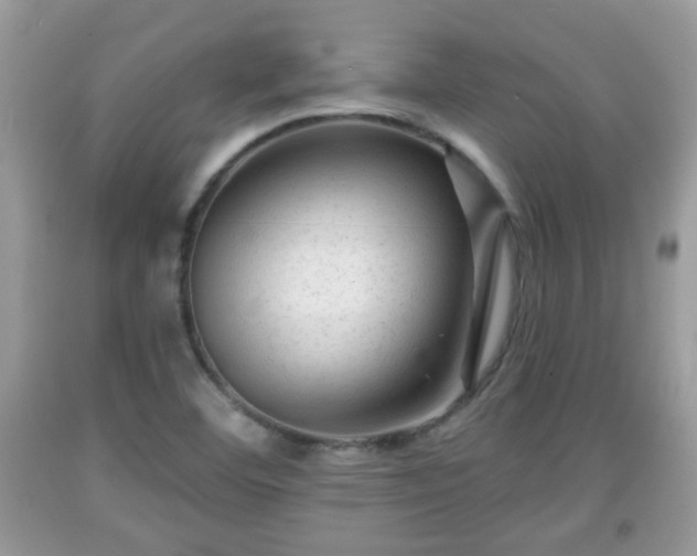 X0000091951460200709131154