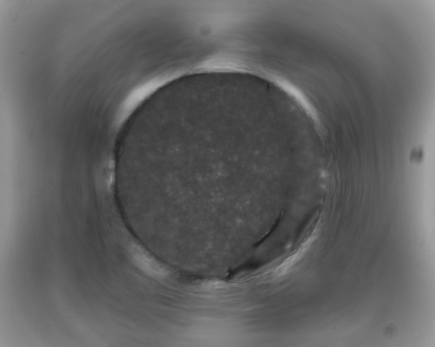 X0000091951461200709131154