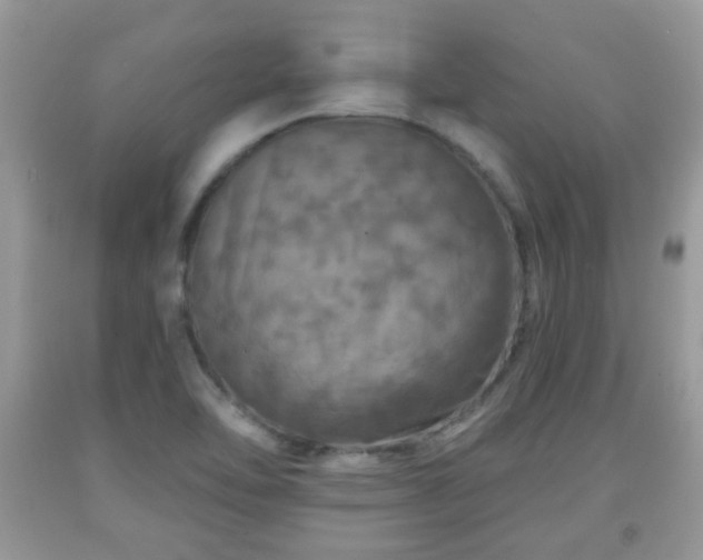 X0000091951462200709131154