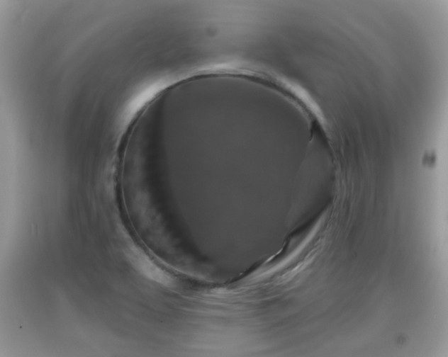 X0000091951463200709131154