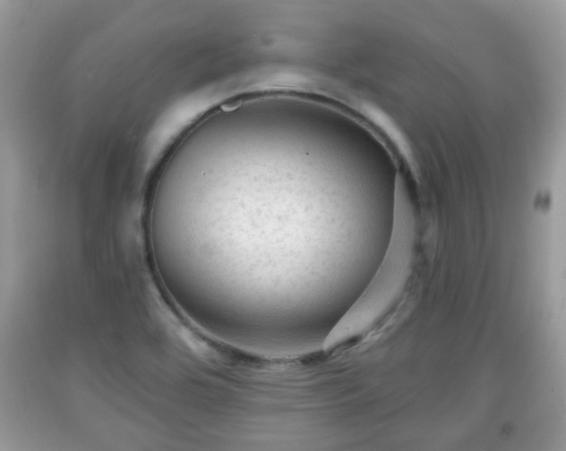 X0000091951464200709131154