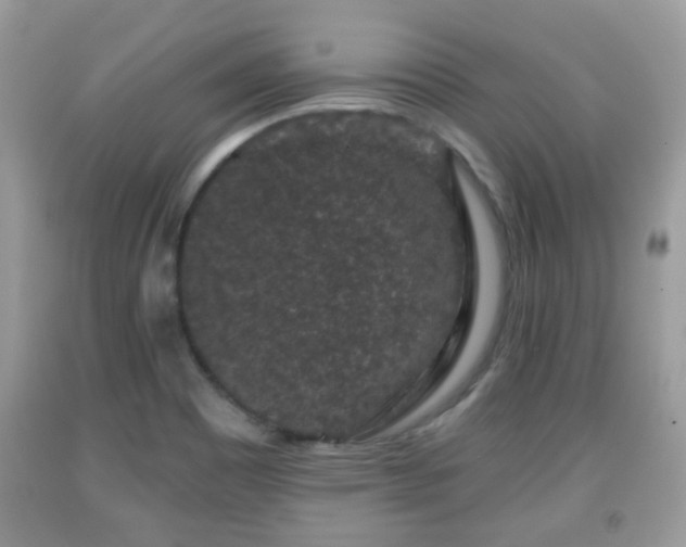 X0000091951465200709131154