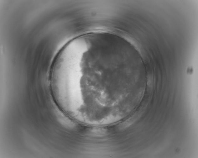 X0000091951466200709131154
