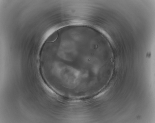 X0000091951467200709131154
