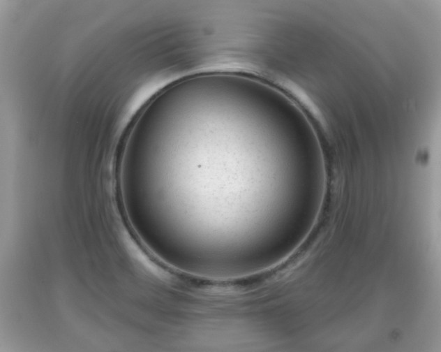 X0000091951468200709131154