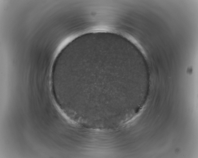 X0000091951469200709131154