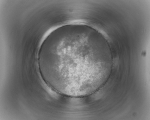 X0000091951470200709131154