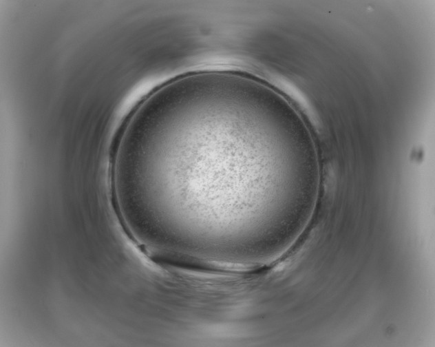 X0000091951472200709131154