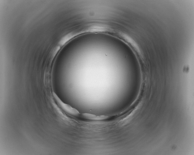 X0000091951473200709131154