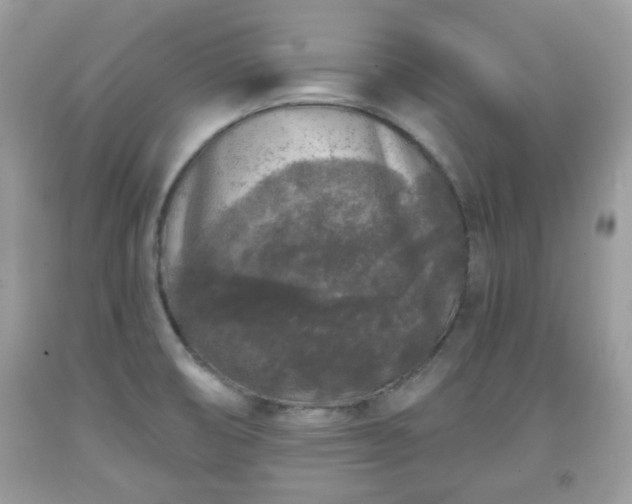 X0000091951474200709131154