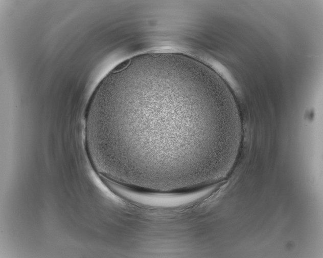 X0000091951476200709131153