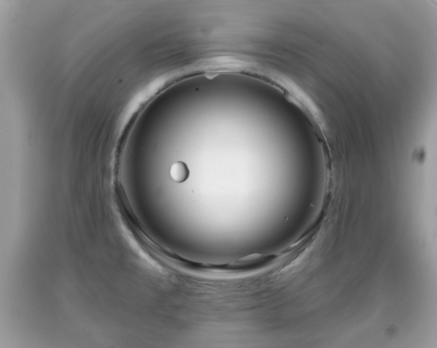 X0000091951477200709131153