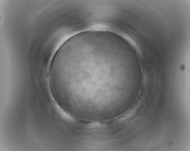 X0000091951478200709131153