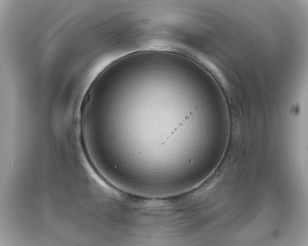X0000091951479200709131153