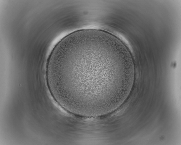 X0000091951480200709131153