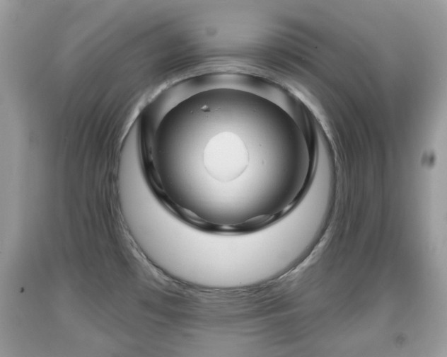 X0000091951481200709131153