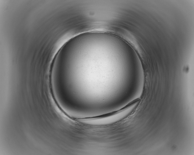 X0000091951483200709131153