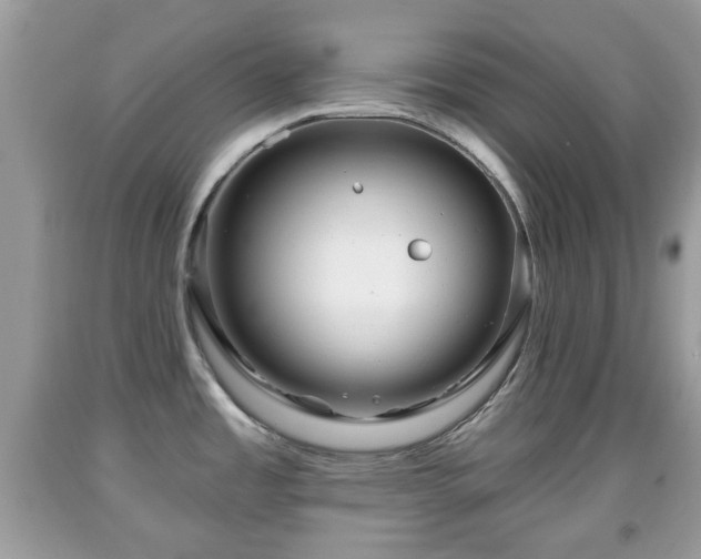X0000091951485200709131153