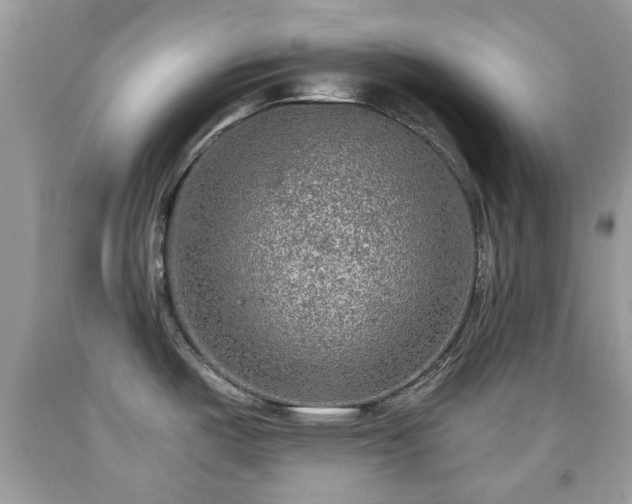 X0000091951487200709131153