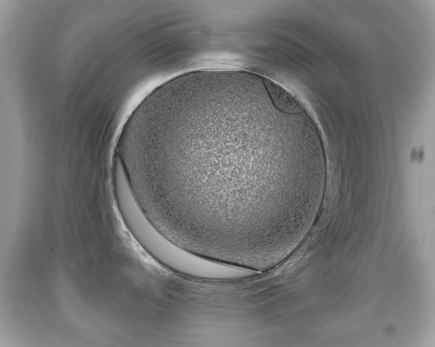 X0000091951488200709131153