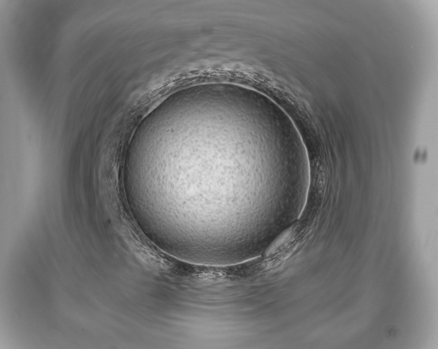 X0000091951489200709131152
