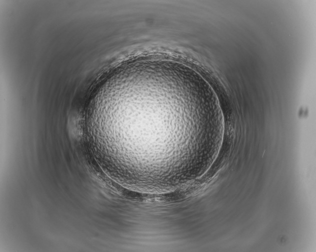 X0000091951490200709131152