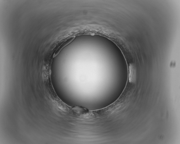 X0000091951491200709131153