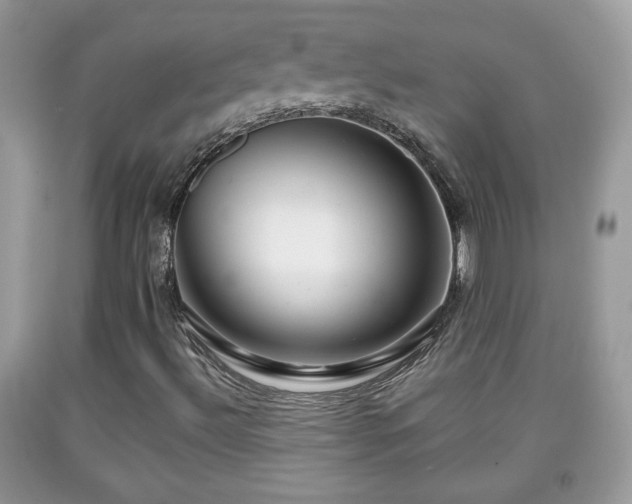 X0000091951492200709131153