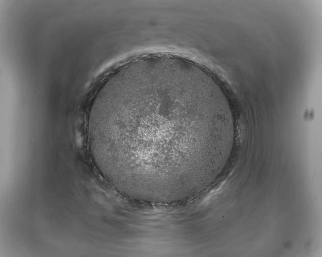 X0000091951494200709131153