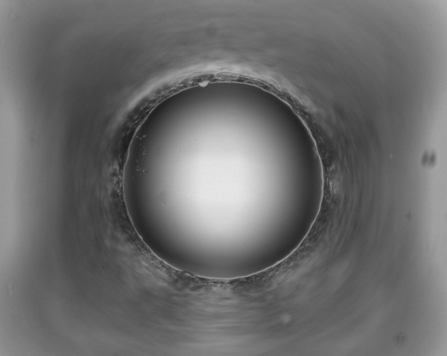 X0000091951495200709131153