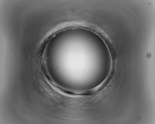 X0000091951496200709131153