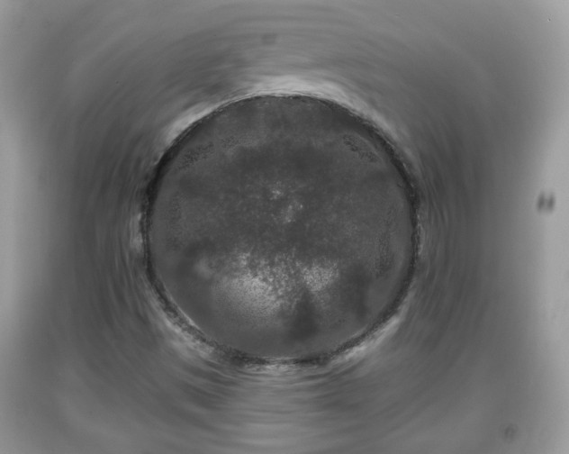 X0000091951497200709131153